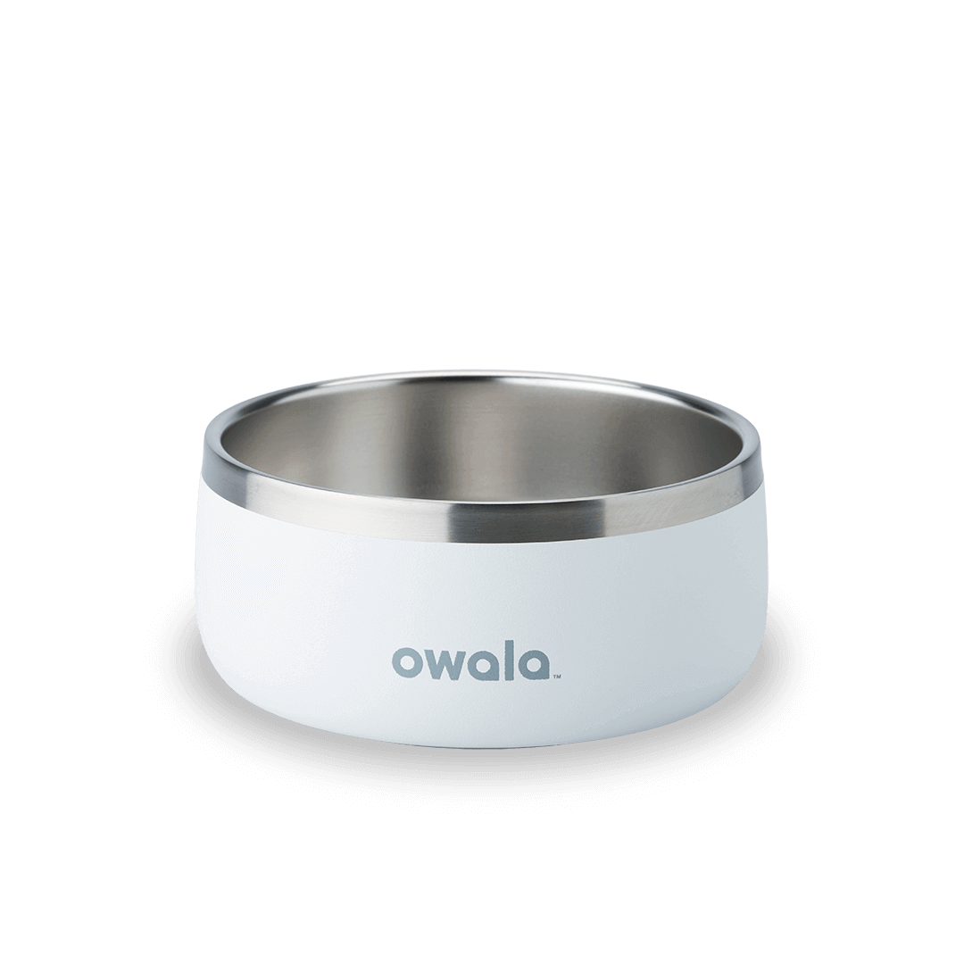 Owala white 3 cup pet bowl