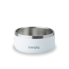 Owala white 3 cup pet bowl
