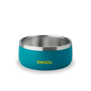 Owala blue 3 cup pet bowl